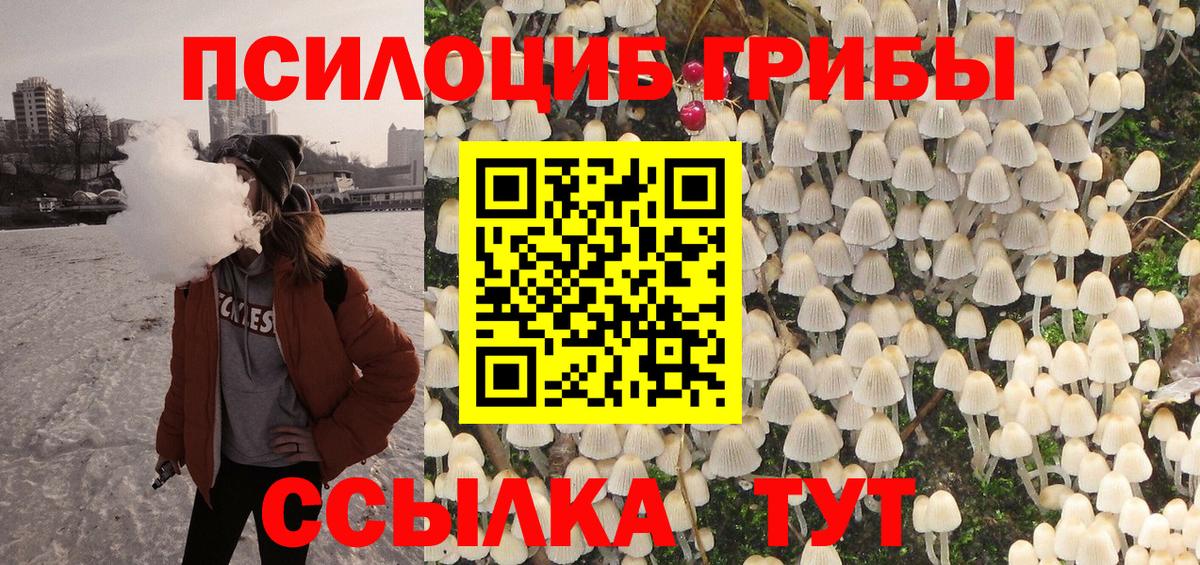 Черкесск  Псилоцибиновые грибы мицелий  цены   Вход с VPN  Псилоцибиновые грибы ЛСД 