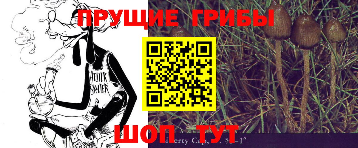 Галлюциногенные грибы Psilocybine cubensis Черкесск